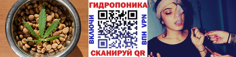 Canna-Cookies марихуана  Купить закладки  Дальнегорск 