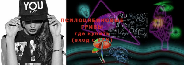 PSILOCYBIN Каменногорск