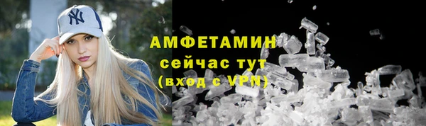 прущие грибы Каменск-Шахтинский