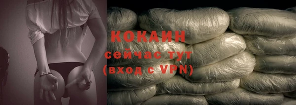 прущие грибы Каменск-Шахтинский