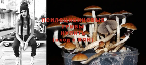PSILOCYBIN Каменногорск