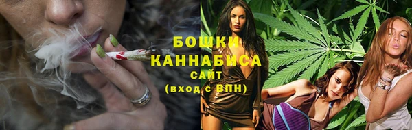 PSILOCYBIN Каменногорск