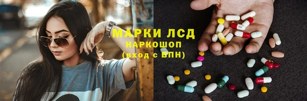 прущие грибы Каменск-Шахтинский