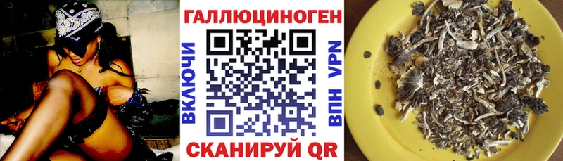 Псилоцибиновые грибы MAGIC MUSHROOMS  Купить  Дальнегорск 